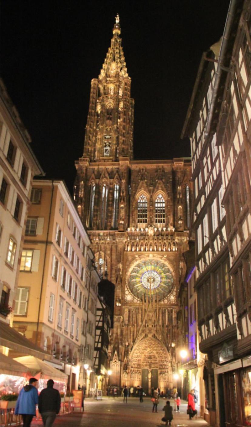 La Maison D'A Cote De Strasbourg Illkirch-Graffenstaden Zewnętrze zdjęcie